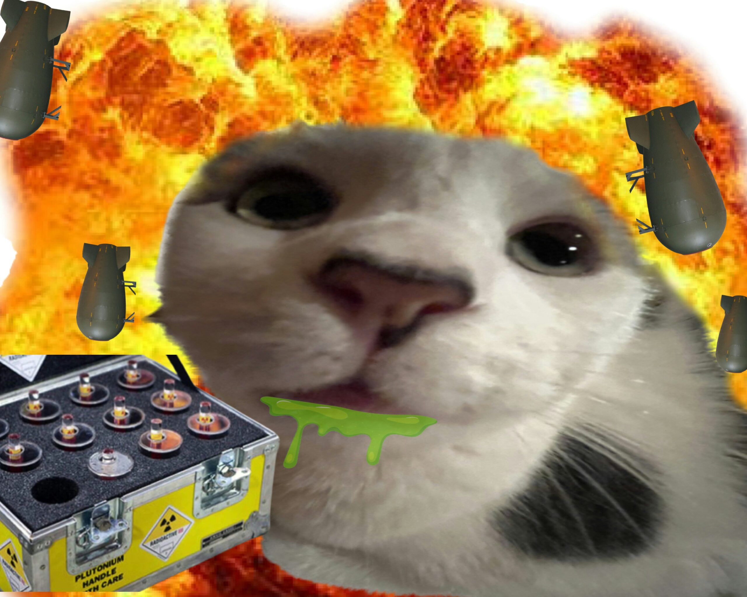 Radioactive nuclear explosion cat